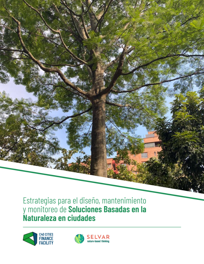 Estrategias para el diseño, mantenimiento y monitoreo de Soluciones Basadas en la Naturaleza en ciudades